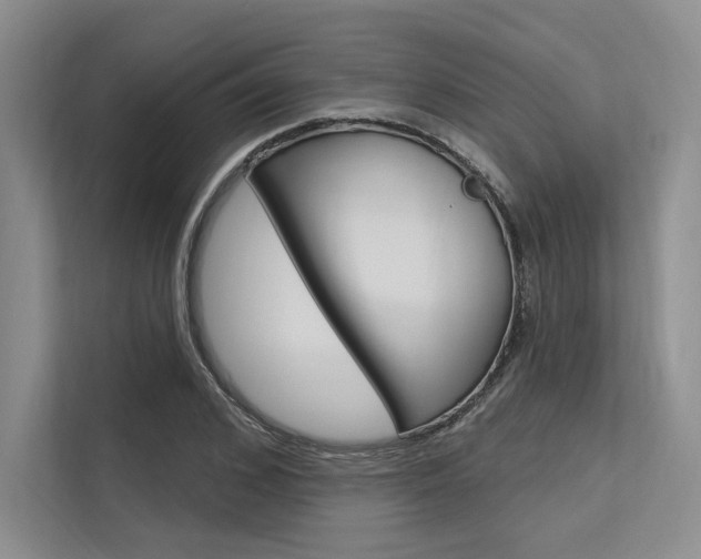 X0000113570976200909180956