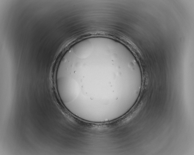 X0000113570978200909180956