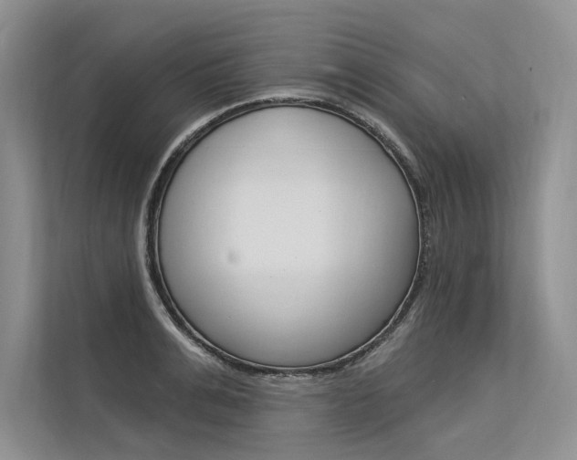 X0000113570991200909180956