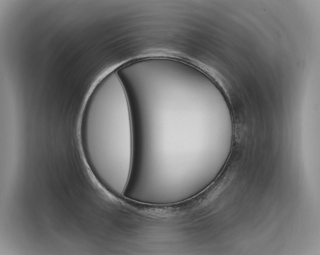 X0000113570995200909180956