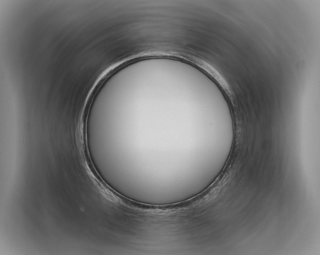 X0000113570996200909180956