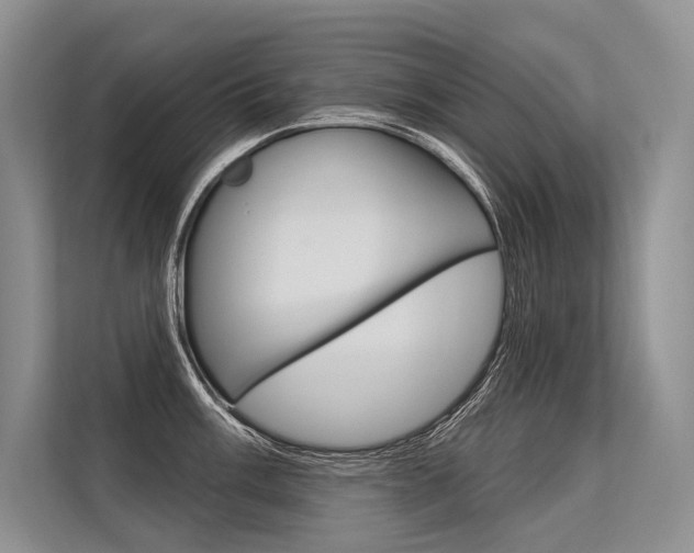 X0000113571003200909180956
