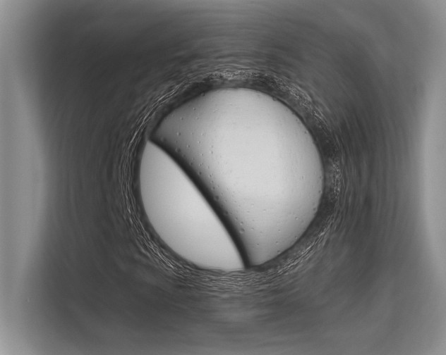 X0000113571009200909180955