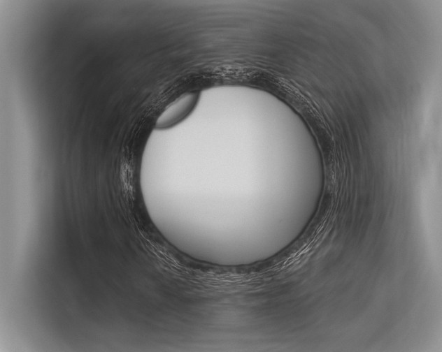 X0000113571010200909180955