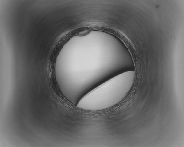 X0000113571016200909180955