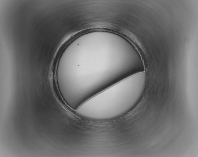 X0000113571024200909180955