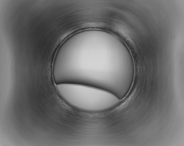 X0000113571025200909180955