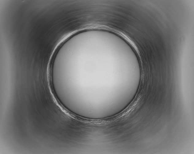 X0000113571053200909180955