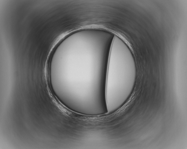 X0000113571054200909180955