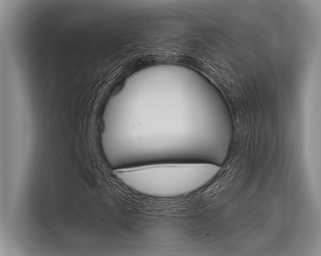 X0000113571057200909180955