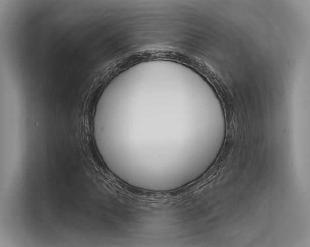 X0000113571062200909180955