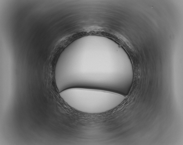 X0000113571063200909180955