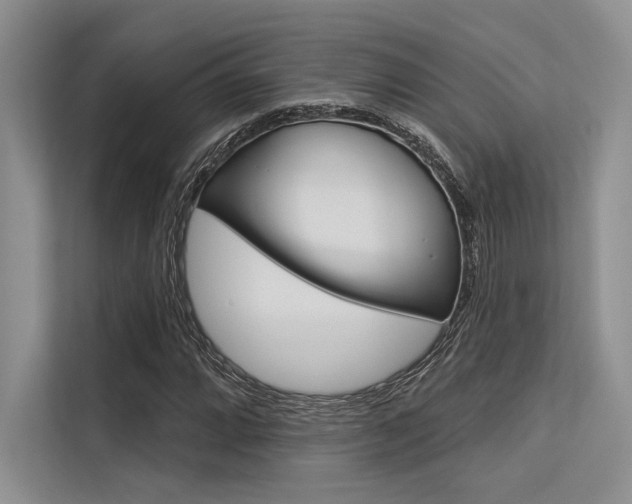 X0000113571064200909180955