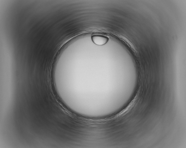 X0000113571065200909180955