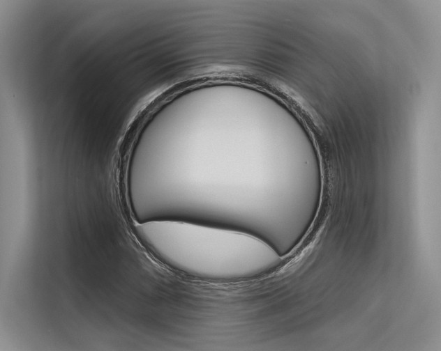X0000113571066200909180955
