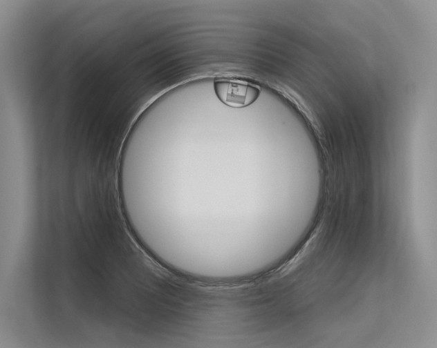 X0000113571081200909180955