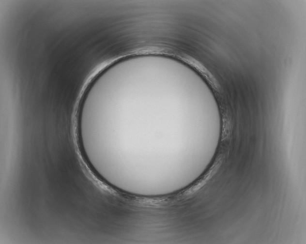 X0000113571086200909180954