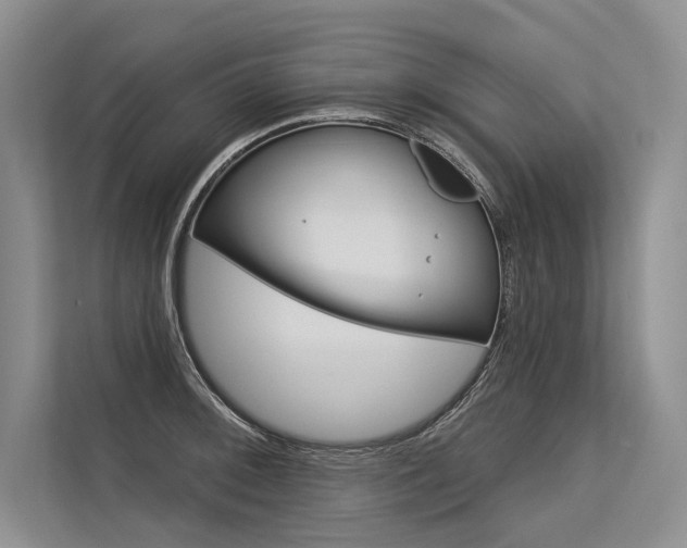 X0000113571092200909180954