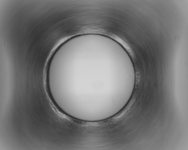 X0000113571094200909180954