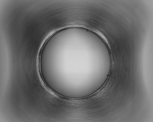 X0000113571096200909180954