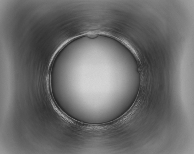 X0000113571100200909180954
