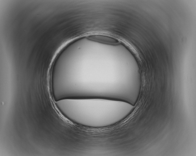 X0000113571102200909180954