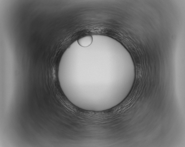 X0000113571106200909180954