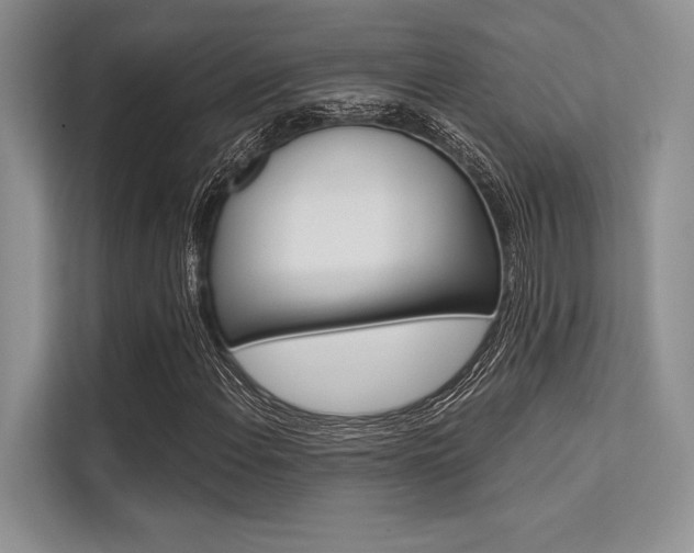 X0000113571108200909180954