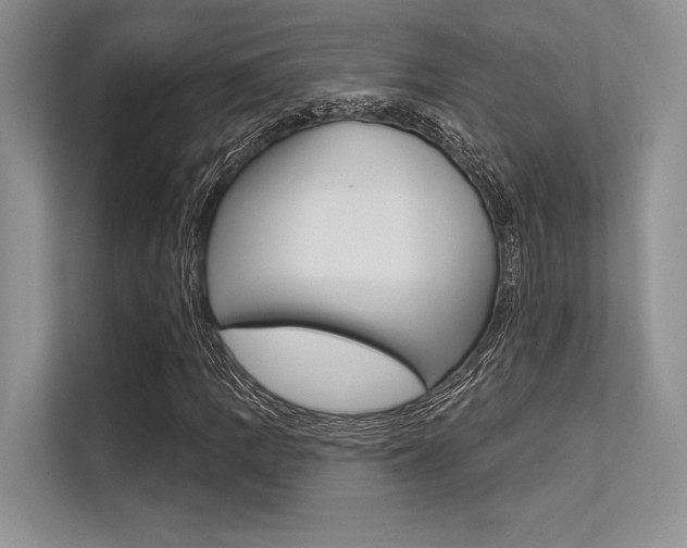 X0000113571109200909180954