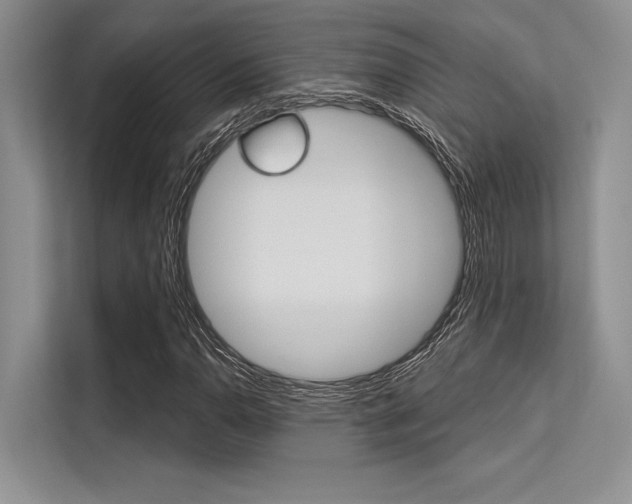 X0000113571110200909180954