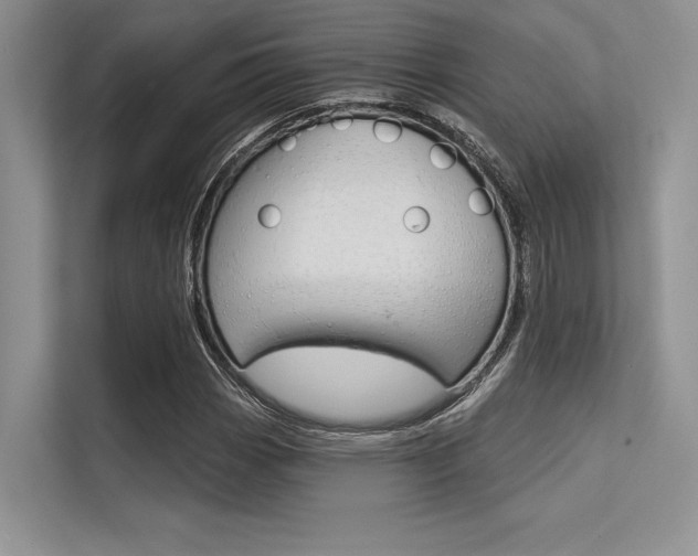 X0000113571113200909180954