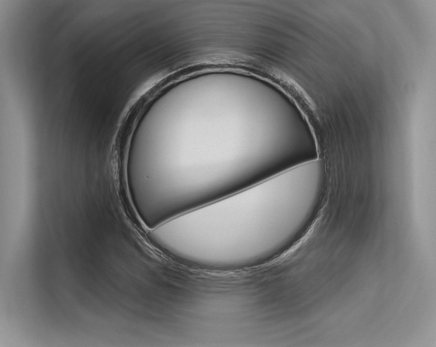 X0000113571114200909180954