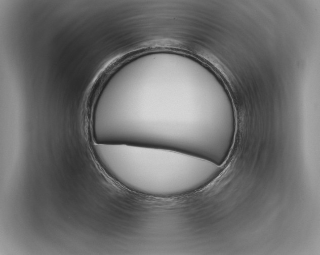X0000113571115200909180954