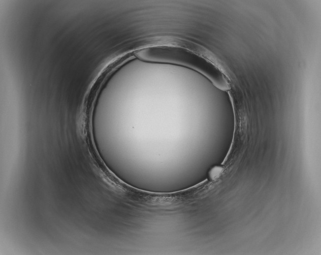 X0000113571116200909180954