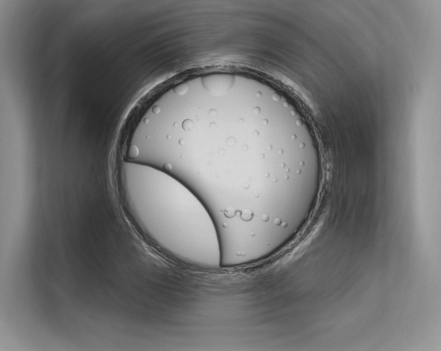 X0000113571117200909180954