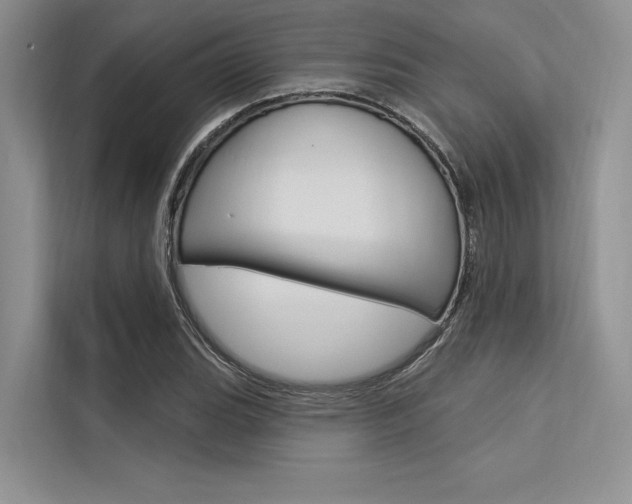X0000113571119200909180954