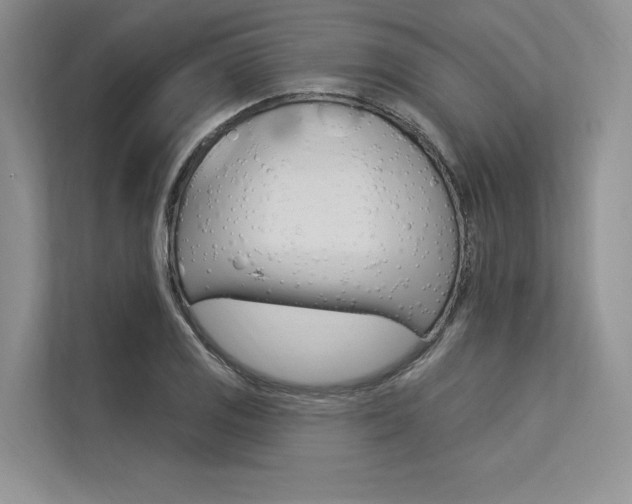 X0000113571125200909180954