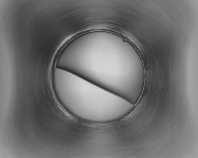 X0000113571127200909180954