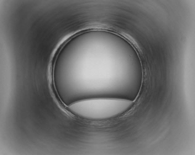 X0000113571128200909180954