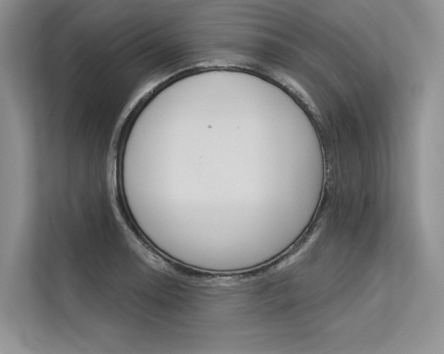 X0000113571130200909180954
