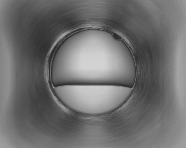 X0000113571131200909180954