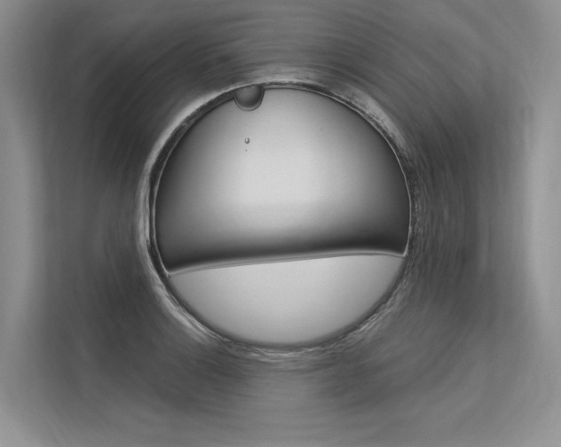 X0000113571132200909180954