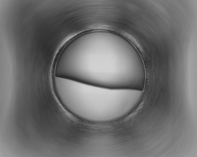 X0000113571133200909180954