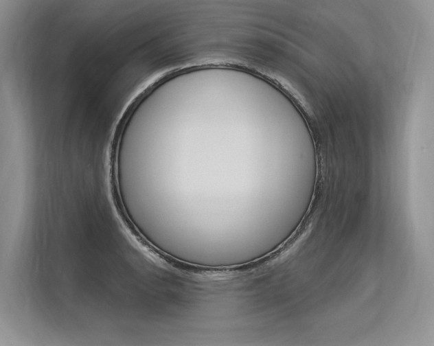 X0000113571134200909180954