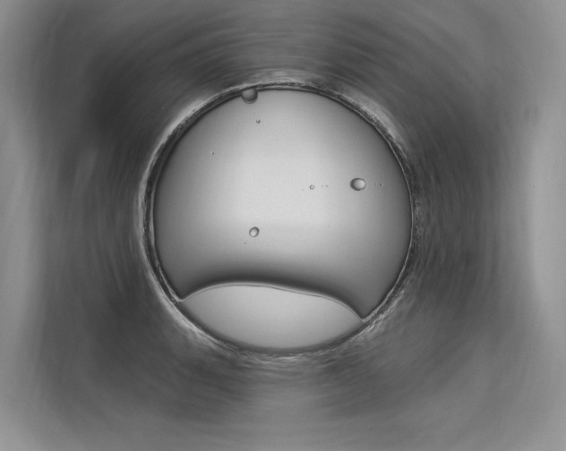 X0000113571135200909180954