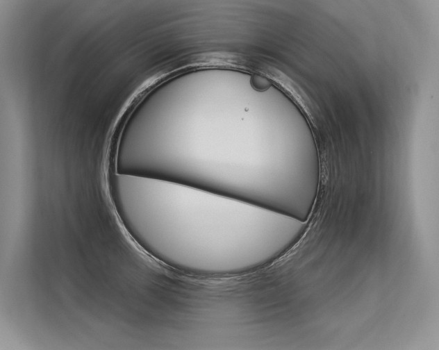 X0000113571139200909180954