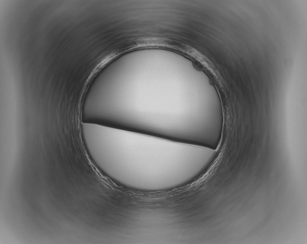 X0000113571145200909180954