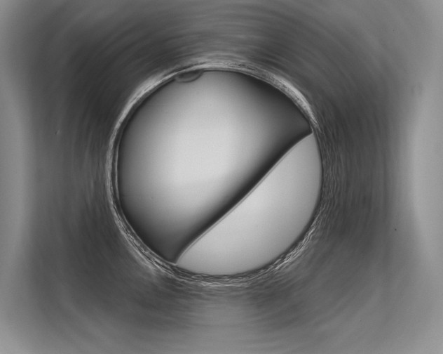 X0000113571146200909180954