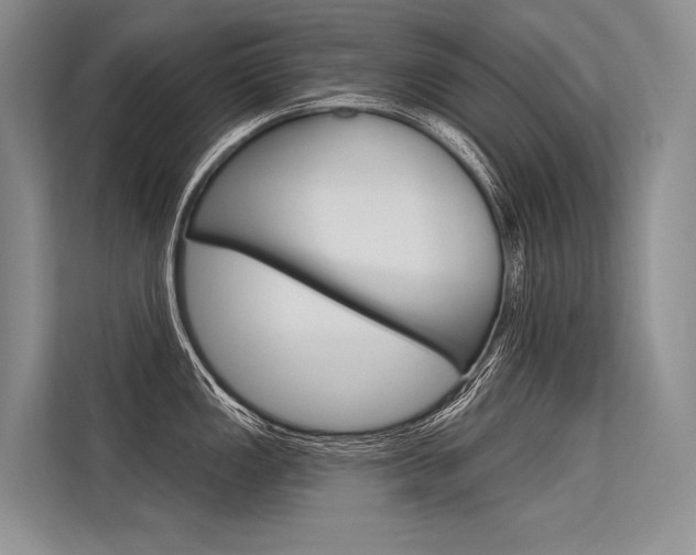 X0000113571149200909180954