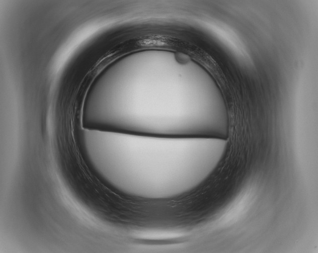 X0000113571151200909180954